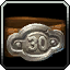 Level 30
