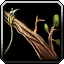 Fish or Cut Bait: Darnassus