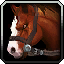 The Reining Champion