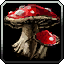 Fungal Frenzy