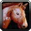 Patrolling Draenor