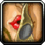 The First Rule of Brawler's Guild (Season 1 or 2)